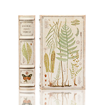 Magical Fern World
