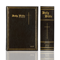 Holy Bible - Brown