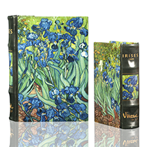 Van Gogh Irises