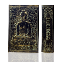 Forbidden Buddhist Tome