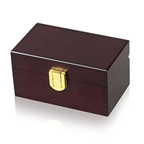 Small Memory Pet Urn - Brass Lock