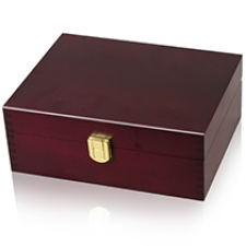 Large Memory Pet Urn - Brass Lock