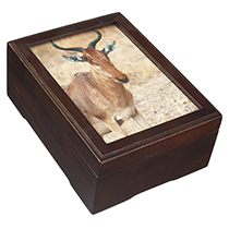 Photo Magnetic Box