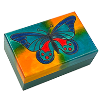 A Butterfly