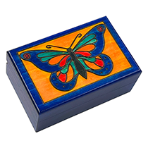 Butterfly in Frame