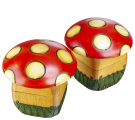 Toadstool mushrooms detail